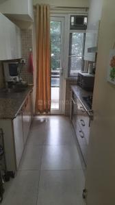 Kitchen Image of 1980 Sq.ft 3 BHK Apartment / Flat for rent in DLF Commanders Court, Egmore Chennai for Rs. 100000