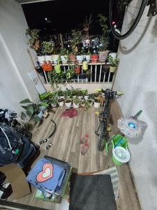 Balcony Image of 1250 Sq.ft 2.5 BHK Apartment / Flat for rent in Rama Metro Life Maxima Residences, Tathawade Pune for Rs. 29999