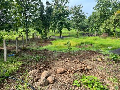 Residential Plot