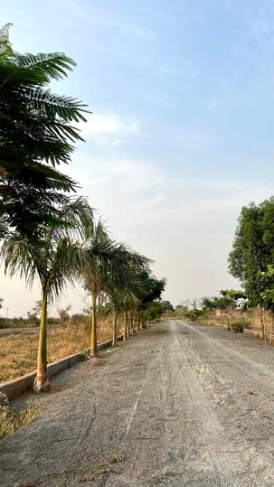 Maruti vihar phase 4 Main Image 1