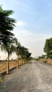 Image of 1000 Sq.ft Residential Plot / Land for sale in Naya Raipur, Raipur for Rs. 555000