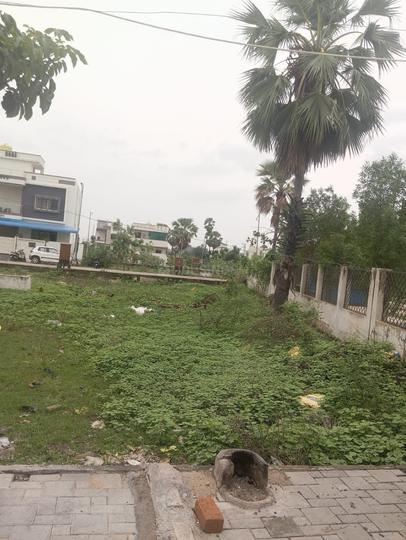 Shankarpur Main Image 1