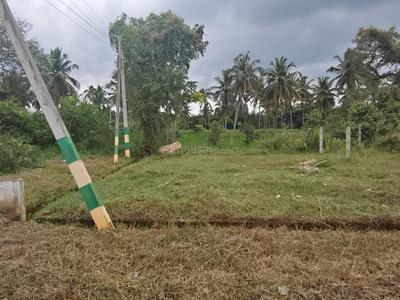 Block E Plot View 2