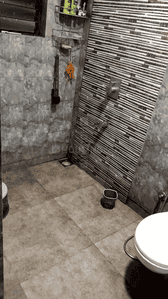 Image of 1511 Sq.ft 3 BHK Apartment / Flat for sale in Tharwani Riverdale, Kalyan West, Kalyan for Rs. 12800000