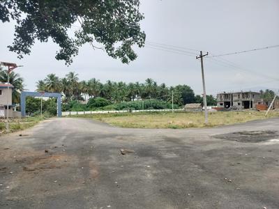 Residential Plot