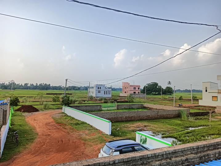 Balianta Main Image 1