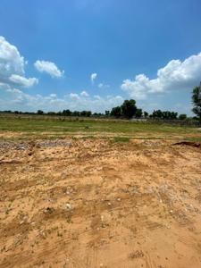 R S PLOTS Plot View 2