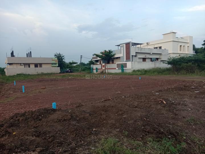 Kolamuru Main Image 1