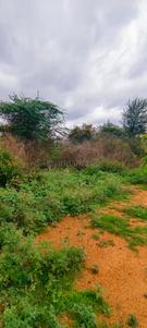 Image of 87120 Sq.ft Residential Plot / Land for sale in Maheshwaram, Hyderabad for Rs. 65000000
