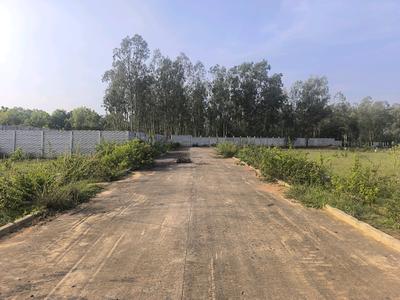 Image of 1500 Sq.ft Residential Plot / Land for sale in Hoskote, Bengaluru for Rs. 4200120