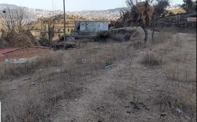 Image of 9720 Sq.ft Residential Plot / Land for sale in Balta, Almora for Rs. 6000000