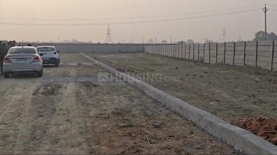 Paradise Dreamlands infraprojects pvt Ltd Plot View 1