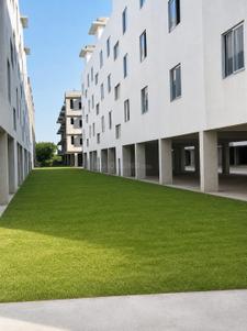 6 BHK Villa