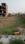 Sun Villa Plots Main Image 1