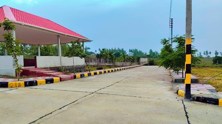 Indo Orr East Organica Main Image 1