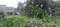 ICHAPUR PRANTIK Plot View 2