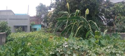 ICHAPUR PRANTIK Plot View 2
