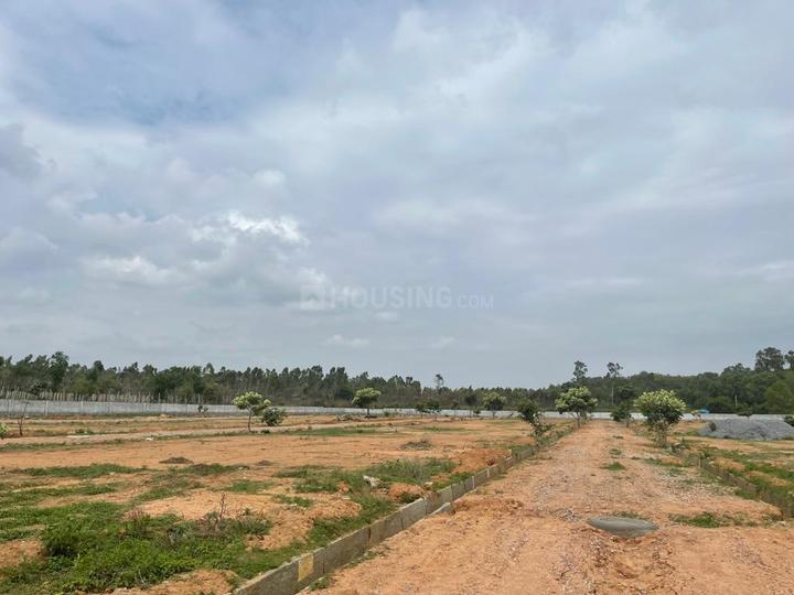 800 Sqft Residential Plot for sale in Tranquil Whitefield, Bangalore
