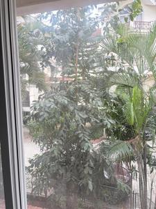 Balcony Image of 1470 Sq.ft 2 BHK Apartment / Flat for sale in Trinity Meadows, Bellandur Bengaluru for Rs. 21000000