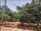 Kompally Main Image 1
