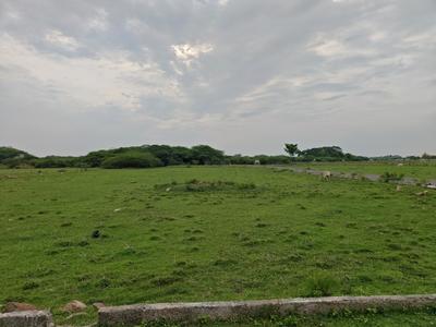 Image of 690 Sq.ft Residential Plot / Land for sale in Chengalpattu, Chennai for Rs. 1034310