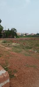 Tamando Plot View 2