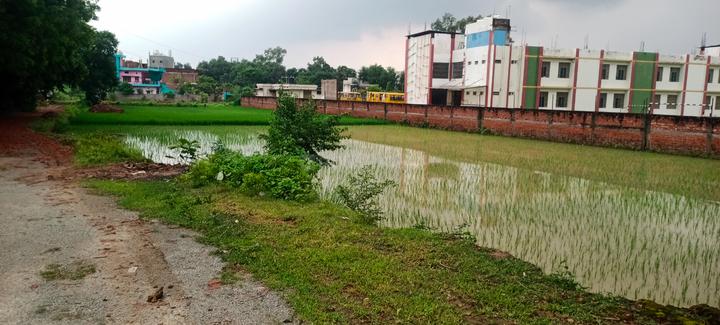 Arogya dham colony Main Image 1