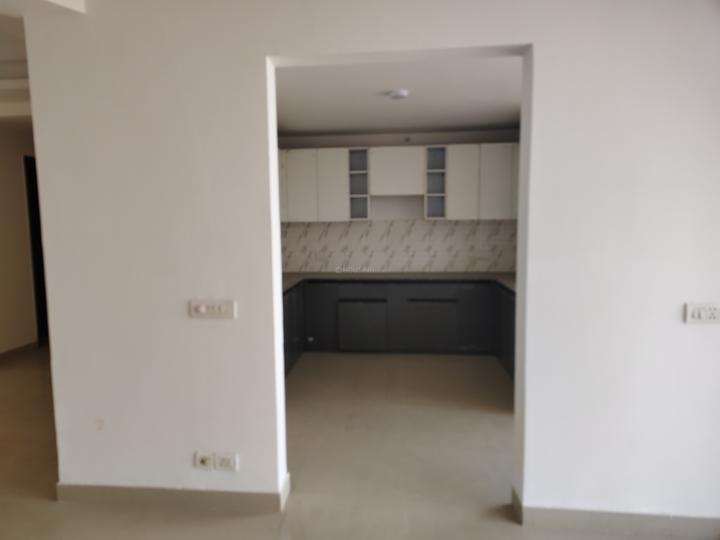 Solutrean Caladium Main Image 1