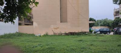 Image of 1700 Sq.ft 3 BHK Builder Floor for rent in BPTP Parklands Pride, Sector 77, Faridabad for Rs. 24000