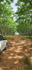Image of 9000 Sq.ft Residential Plot / Land for sale in Kamsanpalle, Narayanpet for Rs. 7500000