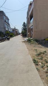 Nihalpur Mundi Plot View 2