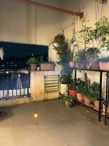 Balcony Image of 1360 Sq.ft 3 BHK Apartment / Flat for rent in Vijay Vilas Tauras Co-op Hsg Society, Hiranandani Estate Thane for Rs. 62000