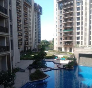 Image of 2800 Sq.ft 3 BHK Apartment / Flat for sale in Kalpataru Grandeur, Palasia, Indore for Rs. 64000000