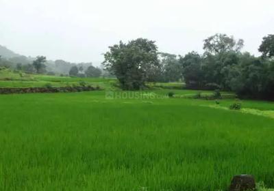 Image of 1089 Sq.ft Residential Plot / Land for sale in Mothijui, Navi Mumbai for Rs. 298000