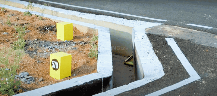 Oak Tree Main Image 1