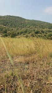 Image of 11000 Sq.ft Residential Plot / Land for sale in Bhor, Pune for Rs. 1850000