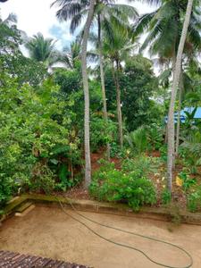 Image of 3400 Sq.ft 5 BHK Independent House for sale in Shoranur, Palakkad for Rs. 19000000