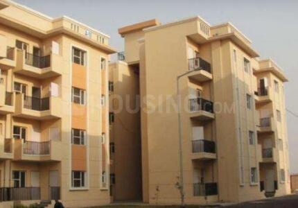 Sare Ebony Greens Main Image 1