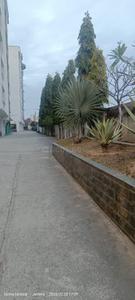 Image of 1200 Sq.ft 2 BHK Apartment / Flat for rent in Sunjwan, Jammu for Rs. 25000