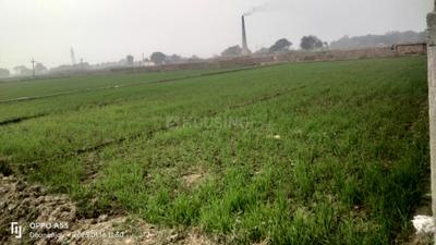 Image of 9000 Sq.ft Residential Plot / Land for sale in Dhanpalpur, Varanasi for Rs. 13000000