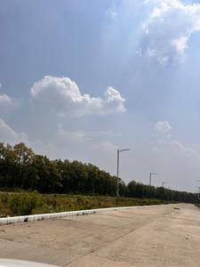 Bhauwala Plot View 1