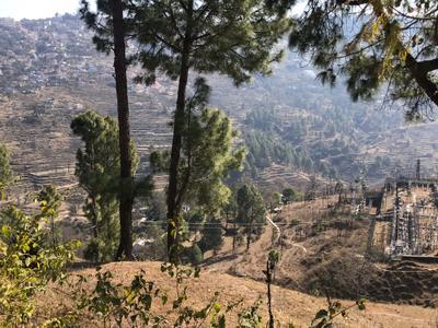 Image of 10800 Sq.ft Residential Plot / Land for sale in Pandeykhola, Almora for Rs. 1000000