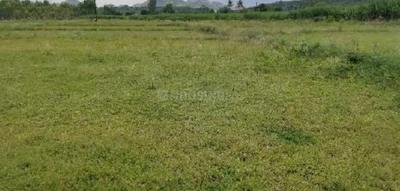 Image of 1800 Sq.ft Residential Plot / Land for sale in Thiruvallur, Chennai for Rs. 1650000