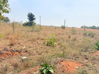 Image of 2400 Sq.ft Residential Plot / Land for sale in Hanchya, Mysore for Rs. 5500000
