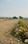 Doiwala Main Image 1