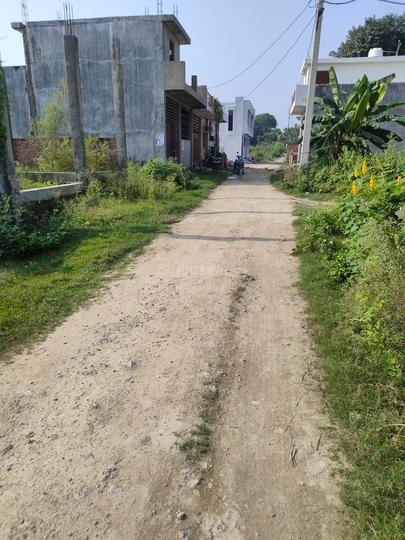 Kalli Pashchim Main Image 1