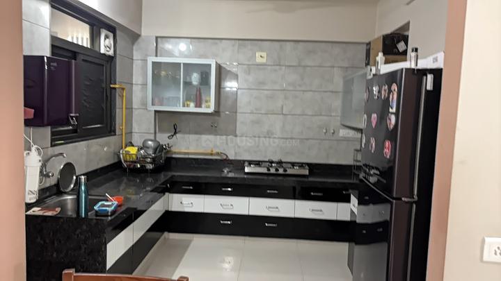 Gala Celestia Main Image 1