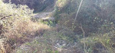 Residential Plot
