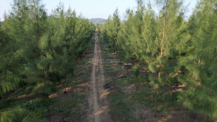 SM GOLDEN TREES AGRO LLP Main Image 1