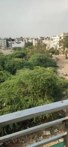 Balcony Image of 600 Sq.ft 2 BHK Apartment / Flat for rent in Matiala New Delhi for Rs. 20000